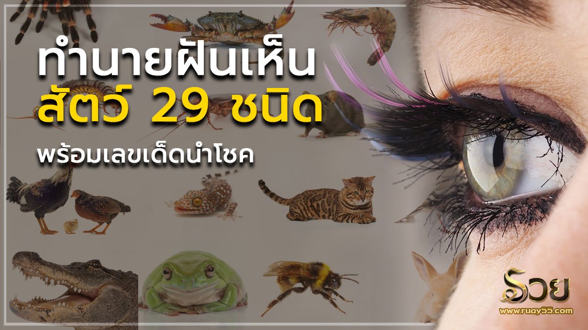 ฝันเห็นสัตว์