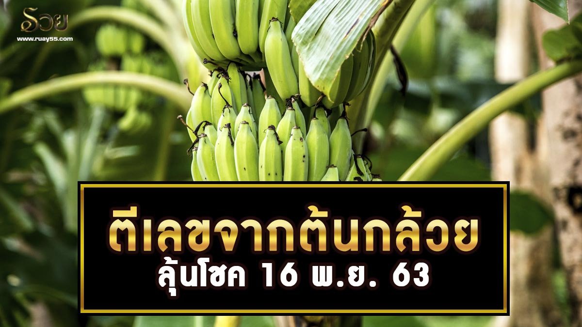 ตีเลขจากต้นกล้วย