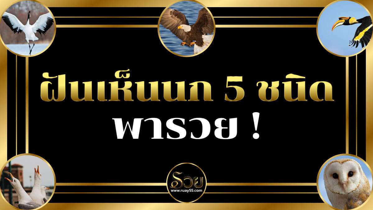 ฝันเห็นนก