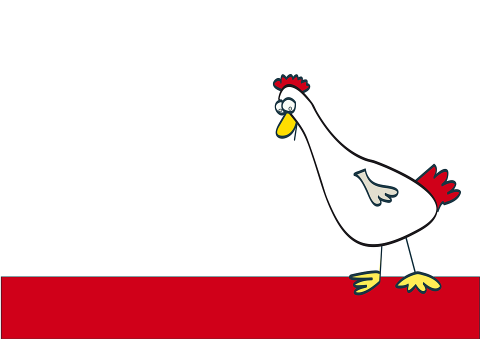 ภาพไก่