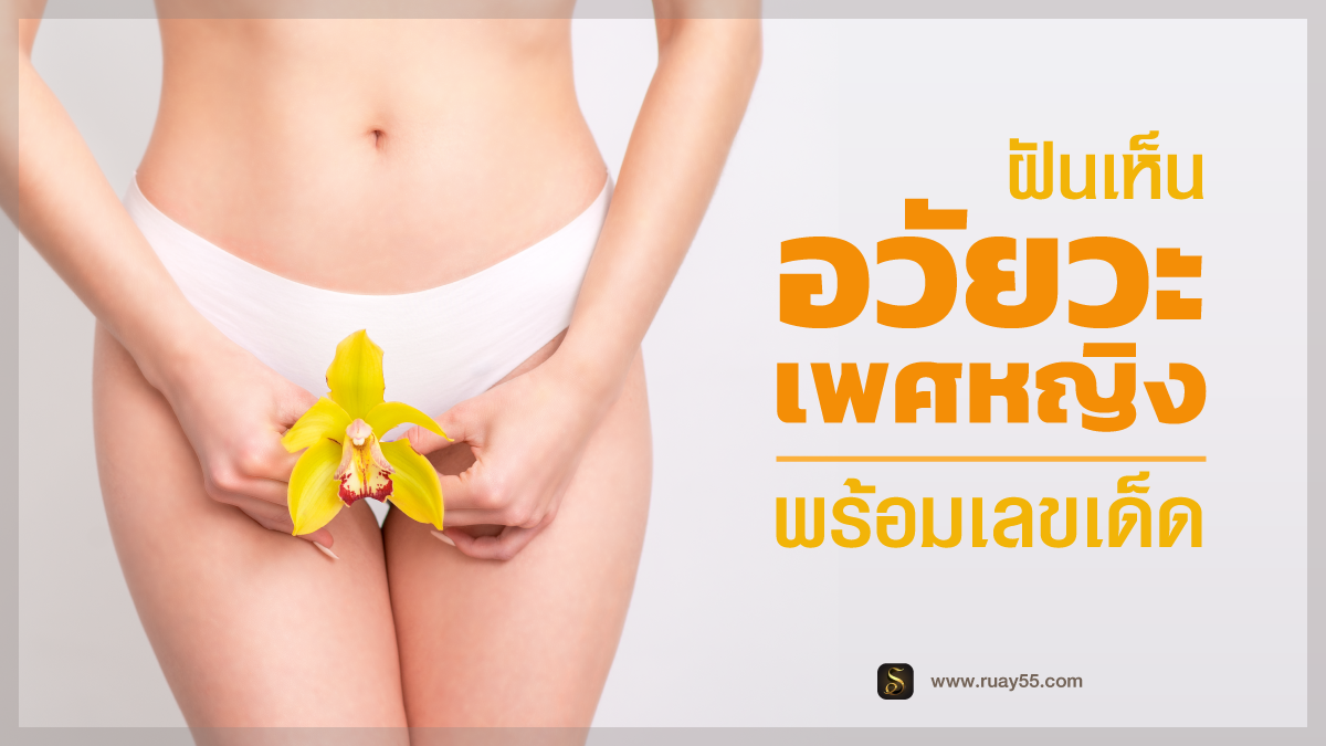 ฝันเห็นอวัยวะเพศหญิง