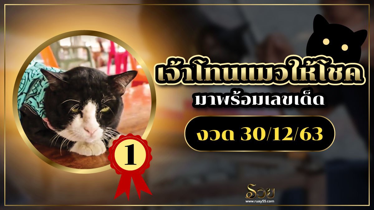 เจ้าโทนแมวให้โชค
