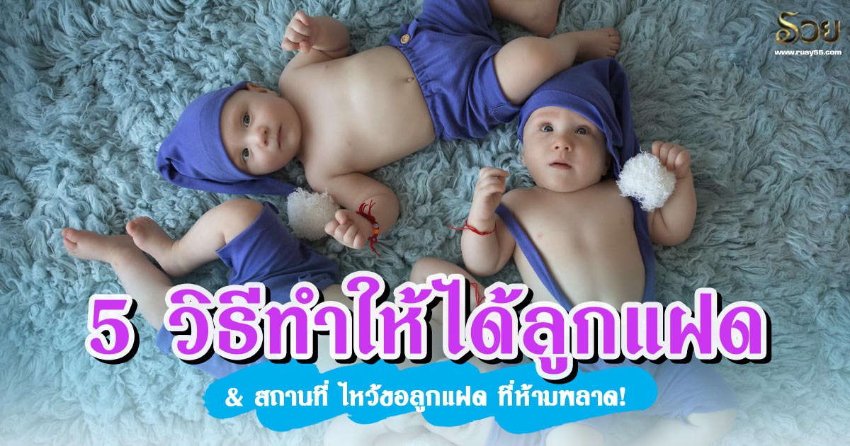 วิธีทำให้ได้ลูกแฝด