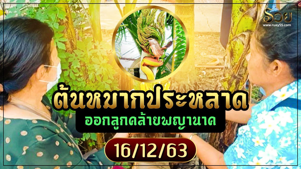 ต้นหมากประหลาด