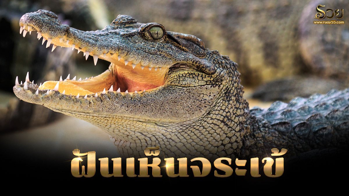 ฝันเห็นจระเข้
