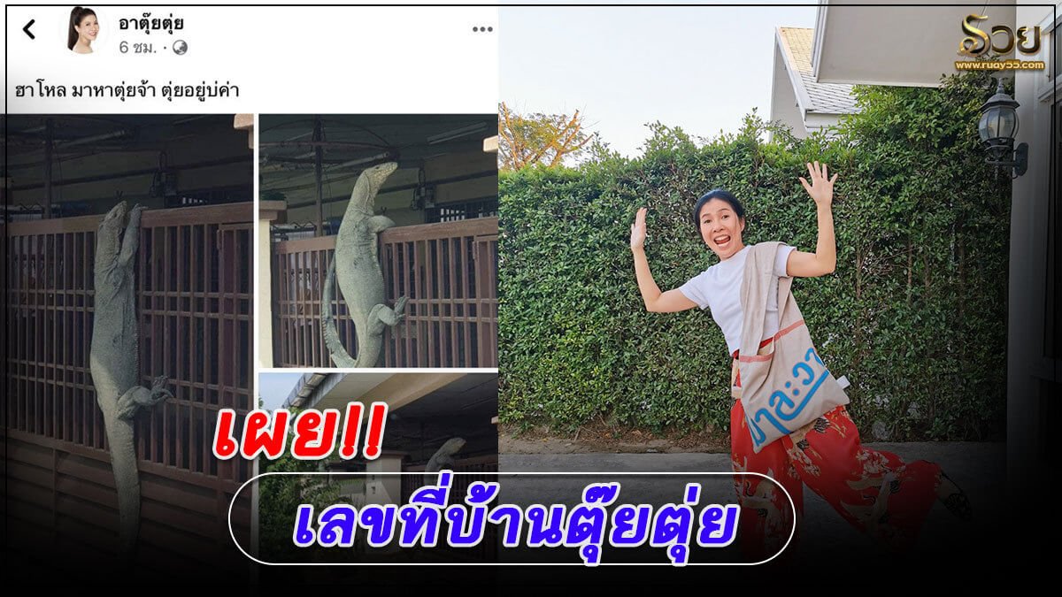 เลขที่บ้านตุ๊ยตุ่ย
