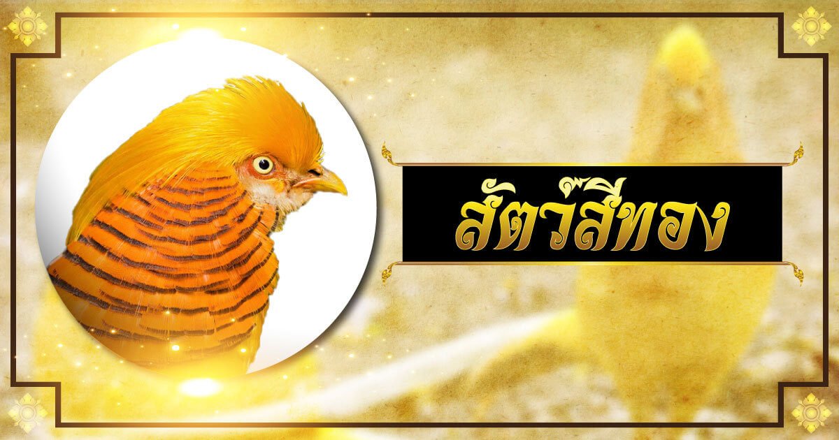 สัตว์สีทอง