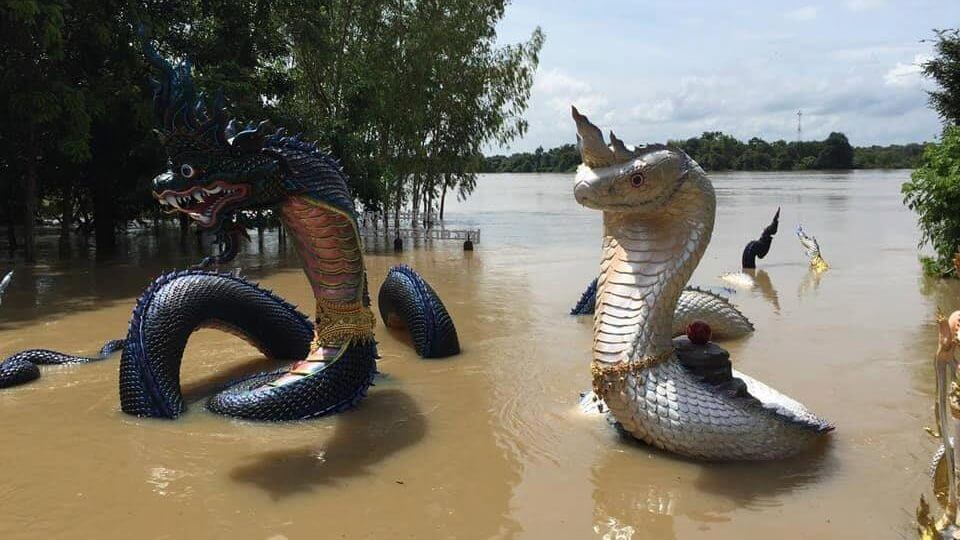 พญานาค