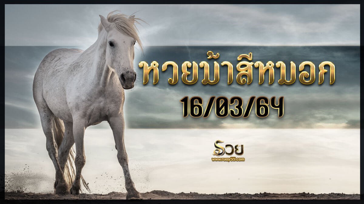 หวยม้าสีหมอก 16/03/64
