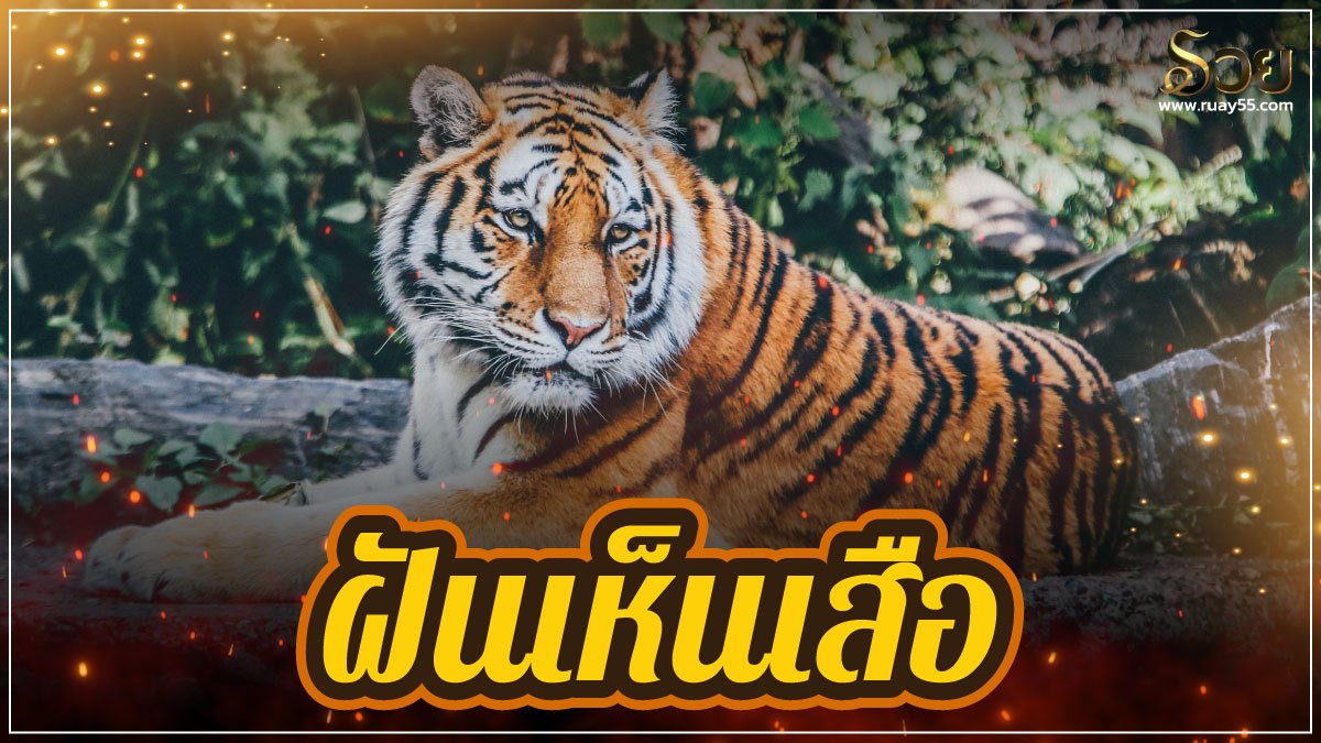 ฝันเห็นเสือ