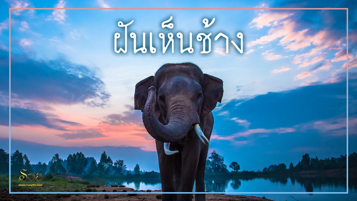 ฝันเห็นช้าง