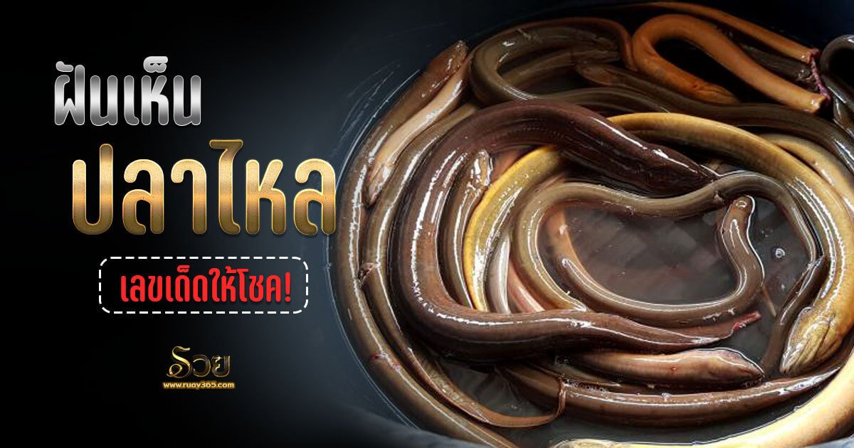 ฝันเห็นปลาไหล
