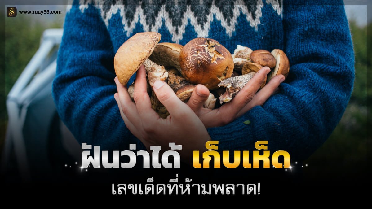 ฝันว่าได้เก็บเห็ด