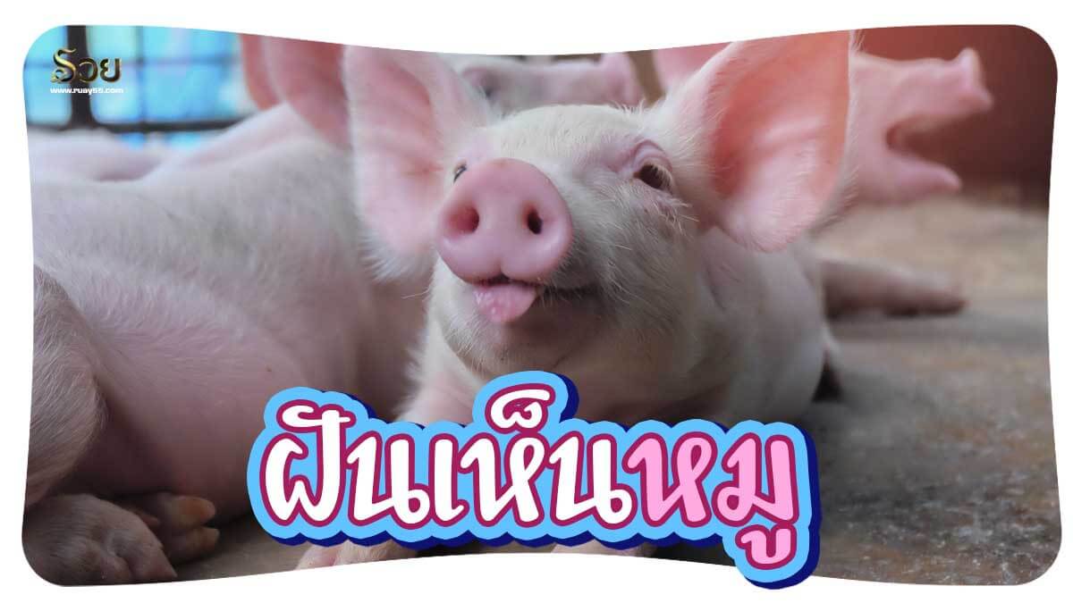 ฝันเห็นหมู