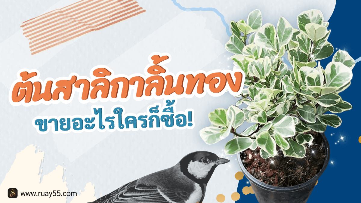 ต้นสาลิกาลิ้นทอง