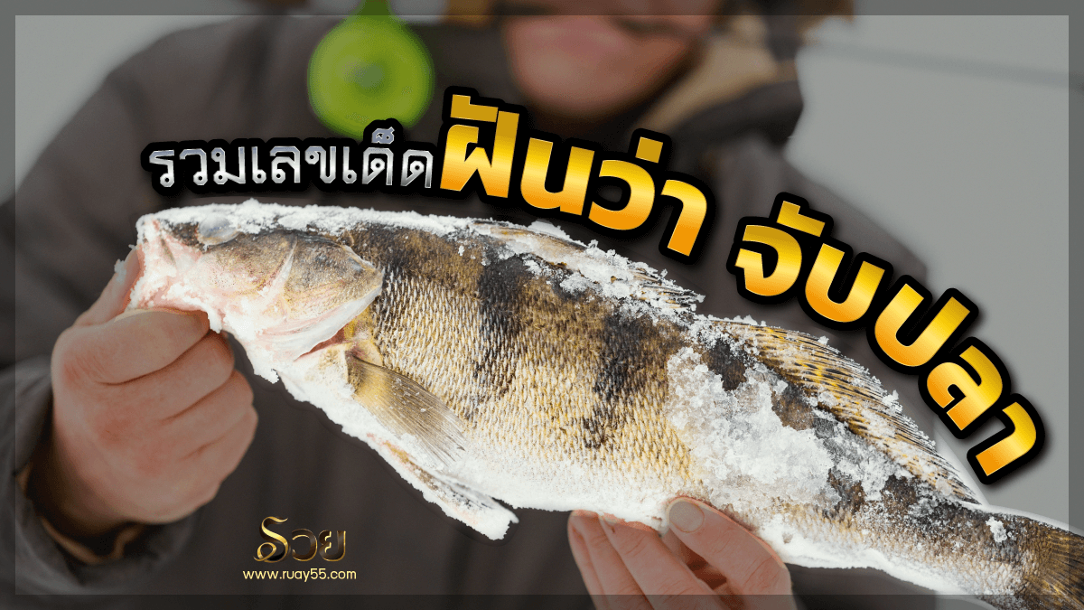 ฝันว่าจับปลา