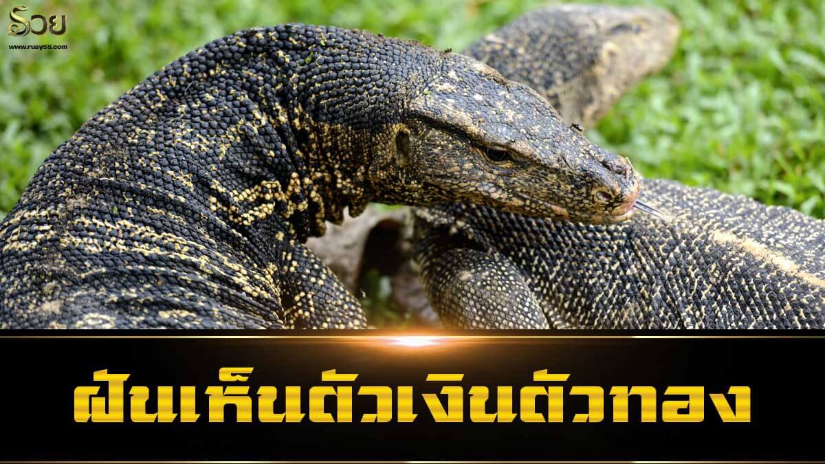 ฝันเห็นตัวเงินตัวทอง