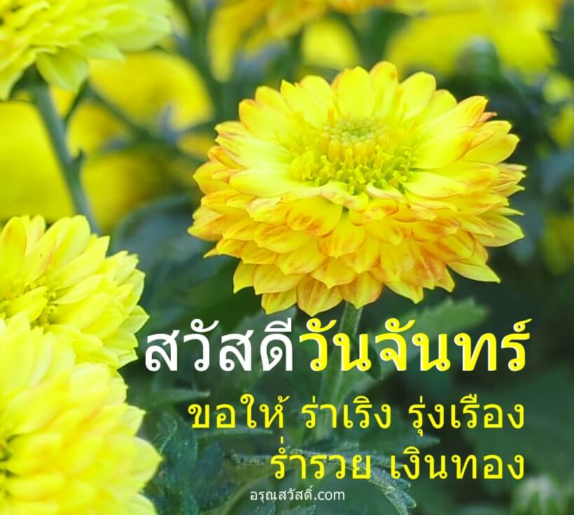 สวัสดีวันจันทร์