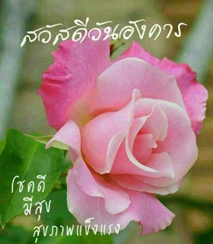 สวัสดีวันอังคาร