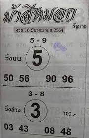 ม้าสีหมอก16/3/64