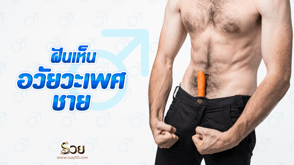 ฝันเห็นอวัยวะเพศชาย